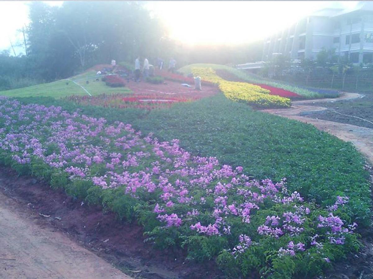 Phurua Sanctuary Resort And Spa Dış mekan fotoğraf